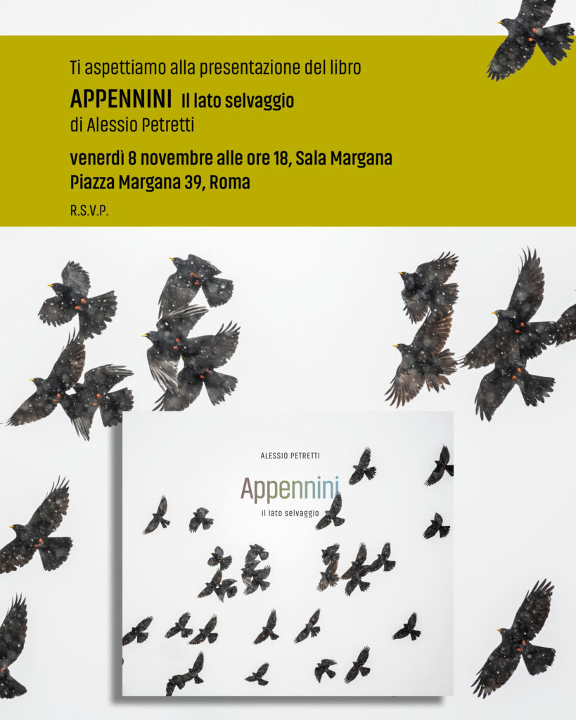 Venerdì 8 novembre pv, presso la Sala Margana, Obiettivo Mediterraneo presenta Appennini - il lato selvaggio. Alessio Petretti da anni ha scelto di rivolgere la sua attenzione di fotografo alla montagna ed in particolare all’Appennino che esplora pazientemente alla ricerca degli angoli nascosti e meno conosciuti ai quali ha deciso di dedicare questo libro. Venerdì 8 novembre pv – ore 18.00 – Sala Margana. Piazza Margana n.41 – Roma. Per maggiori informazioni: info@obiettivomediterraneo.com